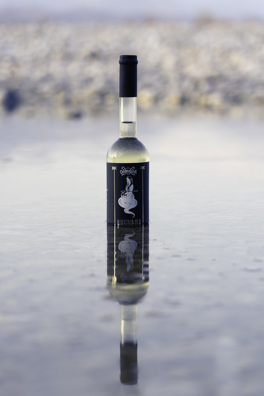 ippocrasso bianco anguana bianca vino speziato medievale